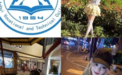 日本樱花云服务器黄页